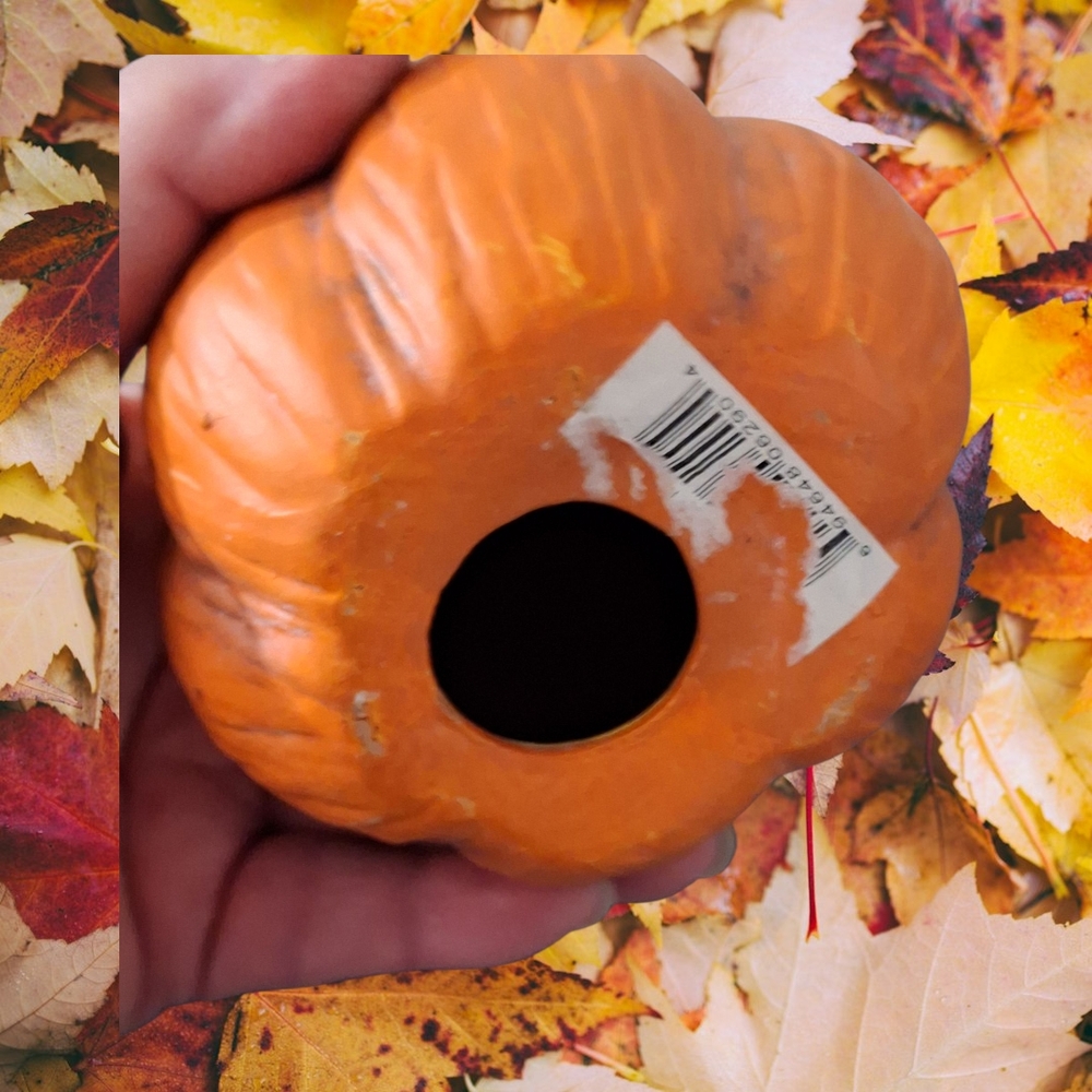 🍊Hobby Lobby Orange Pumpkin Decor - Picture 3 of 4